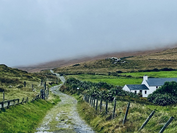 Meet your Posher, Jasmine - Picture 2 of 2